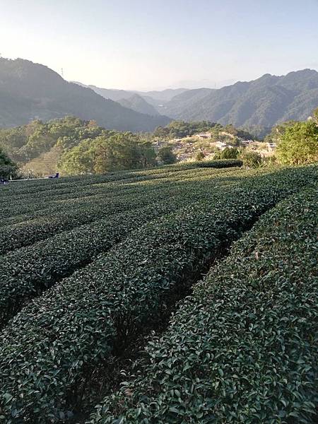 圳沽古道.磨石坑山 (83).jpg 圳沽古道.磨石坑山 (83).jpg