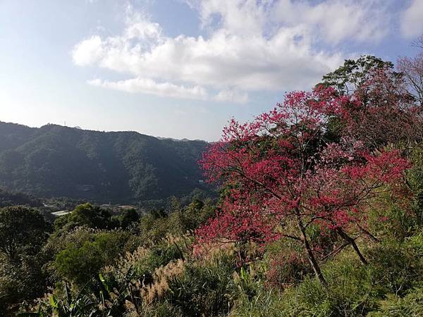 圳沽古道.磨石坑山 (79).jpg