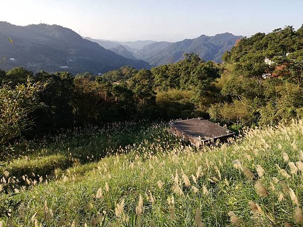 圳沽古道.磨石坑山 (84).jpg