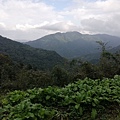 2019.12.14大桶山.烏來山 (2).jpg