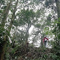 2019.12.14大桶山.烏來山 (16).jpg