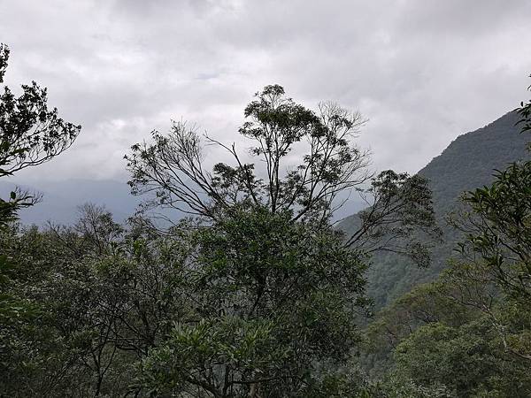 2019.12.14大桶山.烏來山 (40).jpg
