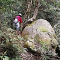 2019.12.14大桶山.烏來山 (39).jpg