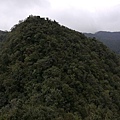 2019.12.14大桶山.烏來山 (46).jpg