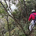 2019.12.14大桶山.烏來山 (43).jpg