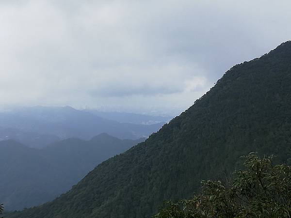 2019.12.14大桶山.烏來山 (54).jpg