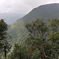 2019.12.14大桶山.烏來山 (58).jpg