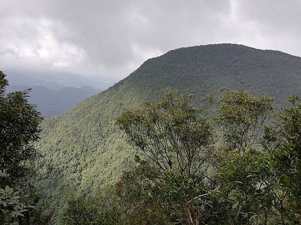 2019.12.14大桶山.烏來山 (62).jpg