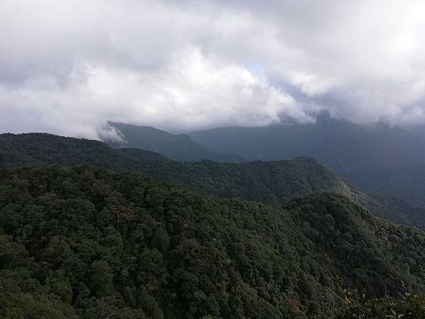 2019.12.14大桶山.烏來山 (82).jpg