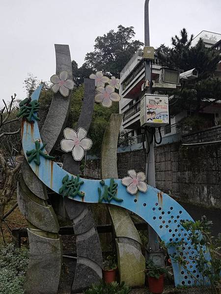 2020.01.15平菁街42巷櫻花 (5).jpg