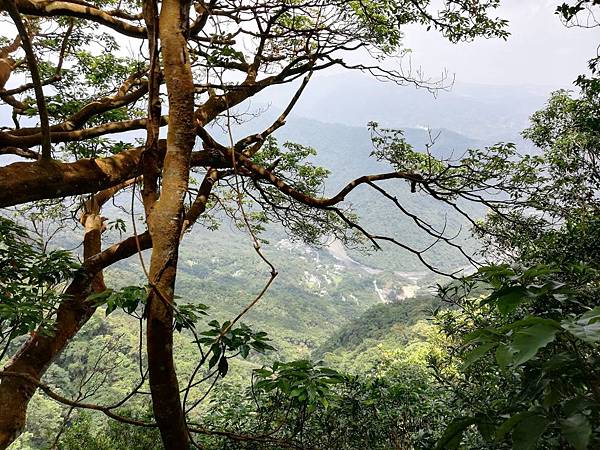 2019.05.31大桶山 (31).jpg