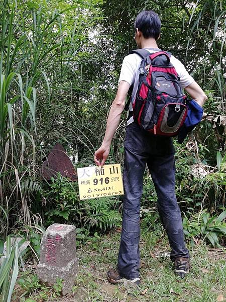 2019.05.31大桶山 (26).jpg