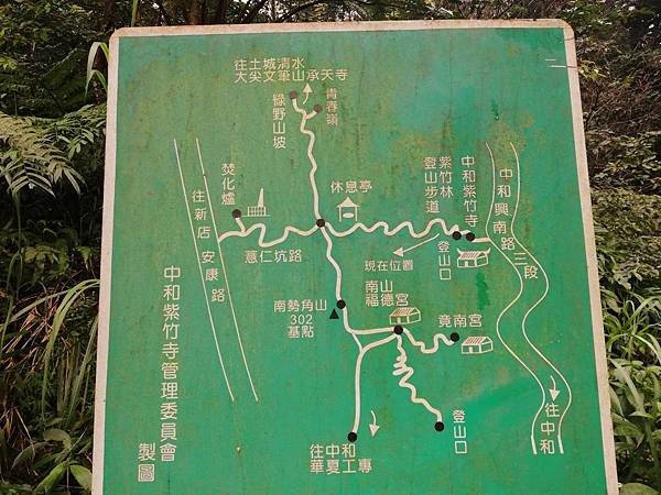 2020.01.19紫竹林步道 (34).jpg 2020.01.19紫竹林步道 (34).jpg