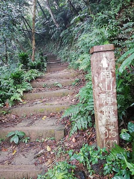 2020.01.19紫竹林步道 (10).jpg