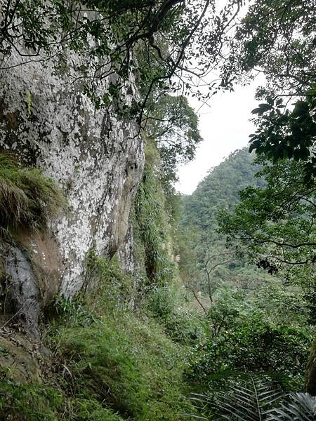 石蠋尖.九龍山 (84).jpg