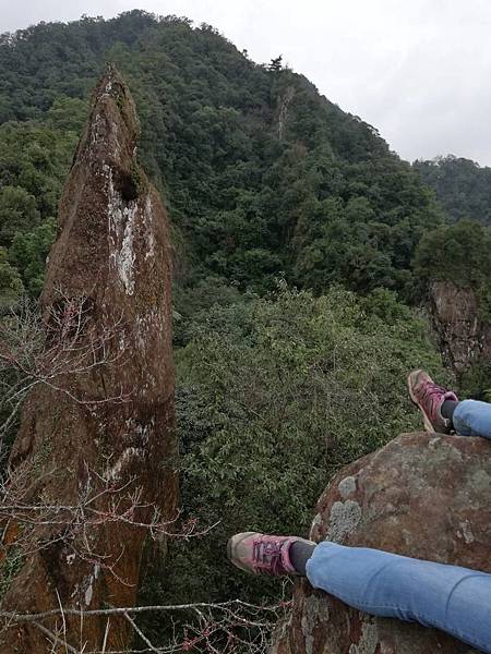 石蠋尖.九龍山 (42).jpg 石蠋尖.九龍山 (42).jpg