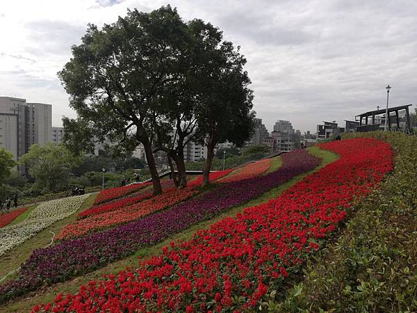 2020.01.22北投社三層崎公園.中正山 (5).jpg