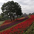 2020.01.22北投社三層崎公園.中正山 (5).jpg