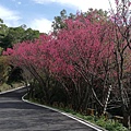 2020.01.22北投社三層崎公園.中正山 (12).jpg