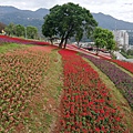 2020.01.22北投社三層崎公園.中正山 (6).jpg