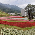 2020.01.22北投社三層崎公園.中正山 (10).jpg