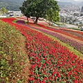 2020.01.22北投社三層崎公園.中正山 (13).jpg