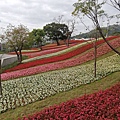 2020.01.22北投社三層崎公園.中正山 (14).jpg