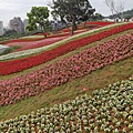 2020.01.22北投社三層崎公園.中正山 (22).jpg