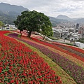 2020.01.22北投社三層崎公園.中正山 (75).jpg