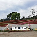 2020.01.22北投社三層崎公園.中正山 (89).jpg