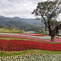 2020.01.22北投社三層崎公園.中正山 (92).jpg