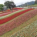 2020.01.22北投社三層崎公園.中正山 (90).jpg