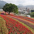 2020.01.22北投社三層崎公園.中正山 (87).jpg