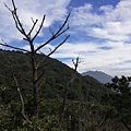 2020.01.22北投社三層崎公園.中正山 (51).jpg