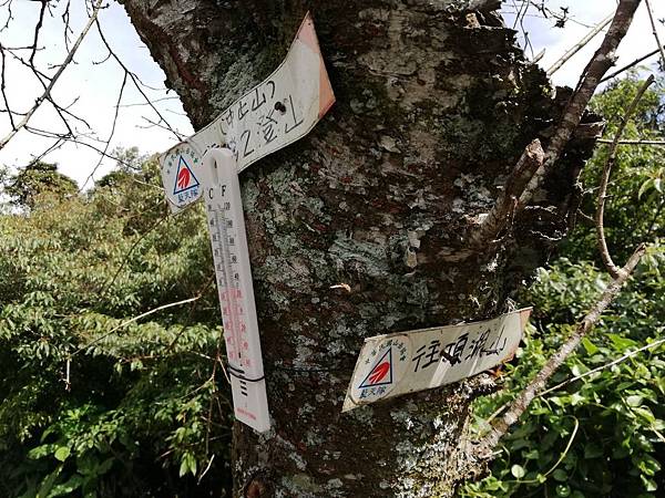 2020.01.22北投社三層崎公園.中正山 (48).jpg