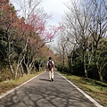 2020.01.22北投社三層崎公園.中正山 (37).jpg