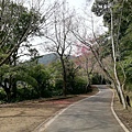 2020.01.22北投社三層崎公園.中正山 (47).jpg