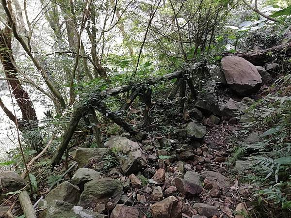 2020.01.22北投社三層崎公園.中正山 (66).jpg