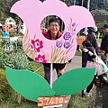 2020士林官邸鬱金香展 (23).jpg