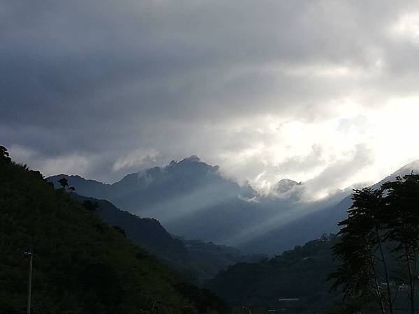 溪口部落花海 (12).jpg