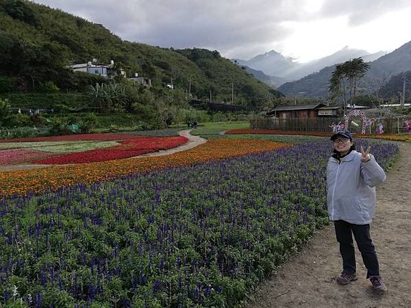 溪口部落花海 (10).jpg
