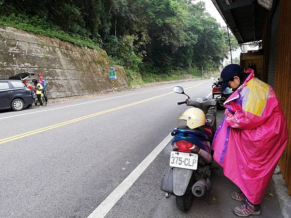 溪口部落花海 (22).jpg