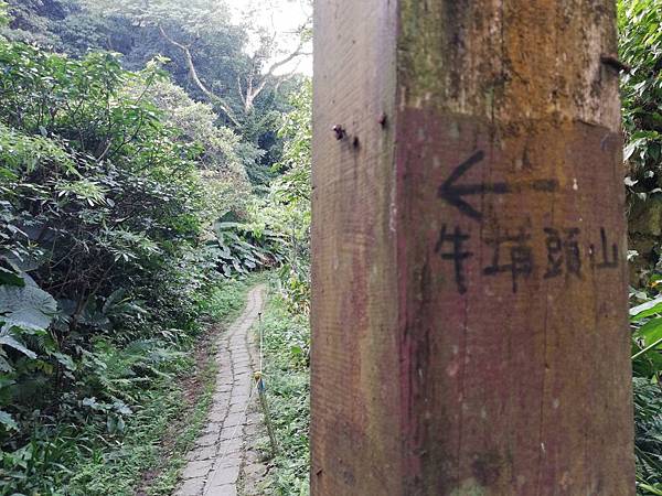 牛埔頭山大尖山 (66).jpg