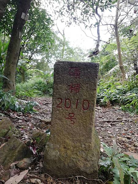 牛埔頭山大尖山 (16).jpg