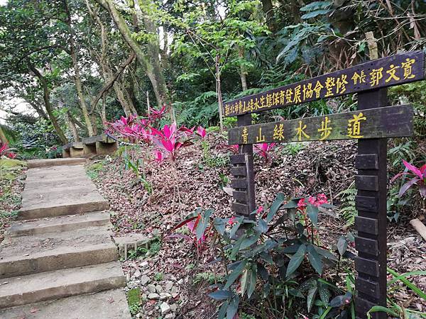 牛埔頭山大尖山 (9).jpg