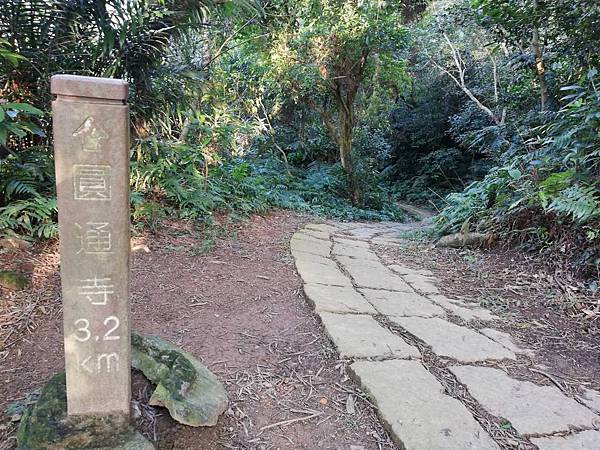 牛埔頭山大尖山 (31).jpg