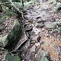 雙溪溝古道 (69).jpg