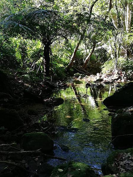 雙溪溝古道 (44).jpg 雙溪溝古道 (44).jpg