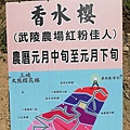 142508017_2793010854347862_6942493001382268500_n.jpg