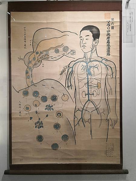 269863998_3029893110659634_3050136711643967969_n.jpg 269863998_3029893110659634_3050136711643967969_n.jpg